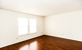Photo of Mr. Sandless Metro Atlanta
