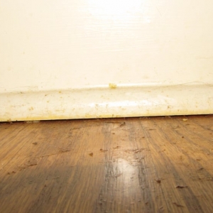 Photo of Mr. Sandless Metro Atlanta