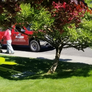 Puyallup New Dimension Lawn & Landscape