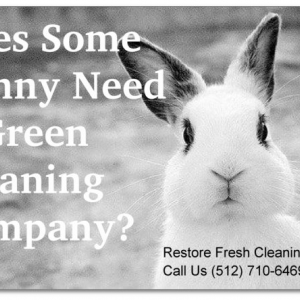 Photo of Restore Fresh - Green Business Cleaning