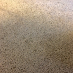 Photo of OxiPlanet