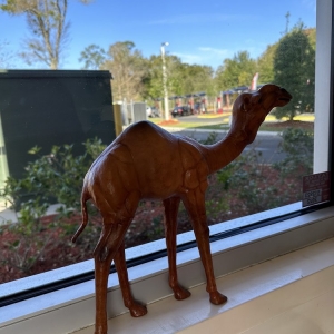 Photo of Camel Premium Express Car Wash