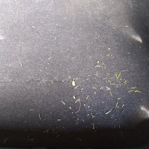 Photo of Pro Shine Car Wash