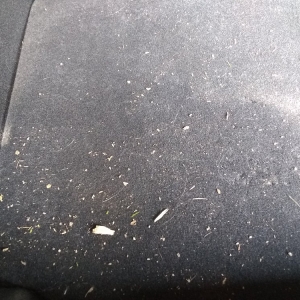 Photo of Pro Shine Car Wash