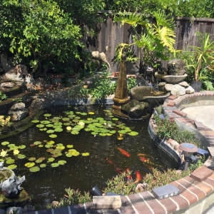 Photo of H&J Landscaping & Concrete Contractor