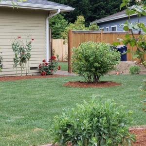 Photo of C A Landscape & Services