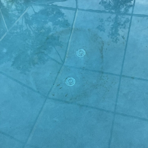 Photo of Paradise Pool Service