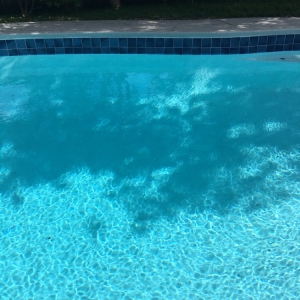 Photo of Paradise Pool Service