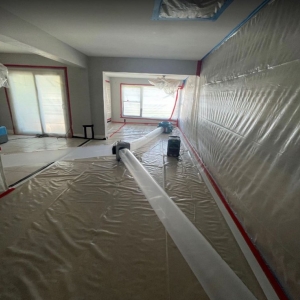 Photo of Mold Environmental Solution