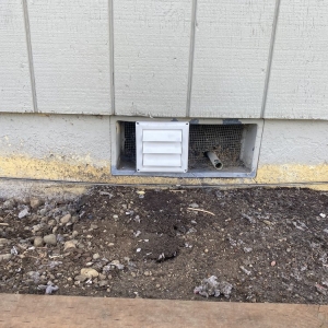 Photo of Your Home Experts