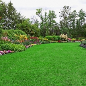 Photo of Greener Grass