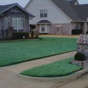 Photo of Greener Grass