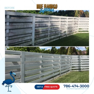 Photo of Blue Flamingo SoftWash