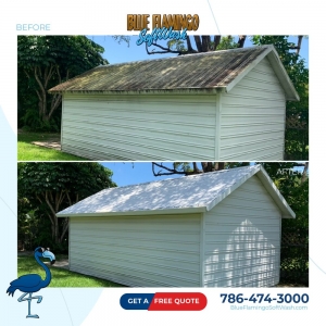 Photo of Blue Flamingo SoftWash