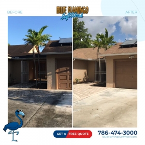 Photo of Blue Flamingo SoftWash