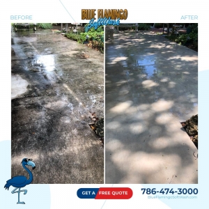 Photo of Blue Flamingo SoftWash
