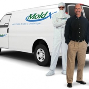 Photo of MoldX