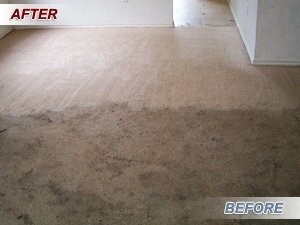 Photo of South Texas Carpet Specialist