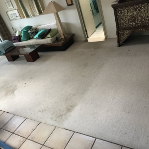 Photo of South Texas Carpet Specialist