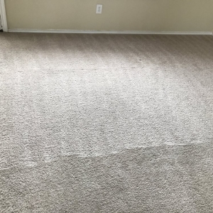 Photo of South Texas Carpet Specialist