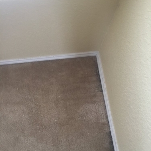 Photo of South Texas Carpet Specialist