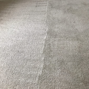 Photo of South Texas Carpet Specialist