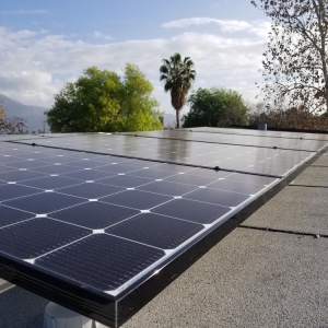 Photo of Wise Solar
