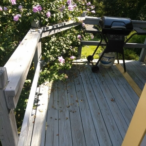 Photo of Painters Of Westmoreland County