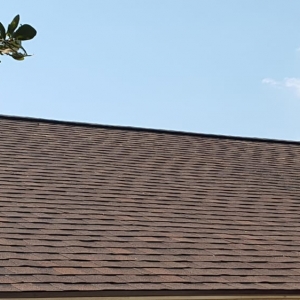 Photo of Patriot Roofing