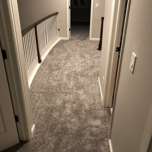 Photo of Ambrose Carpets
