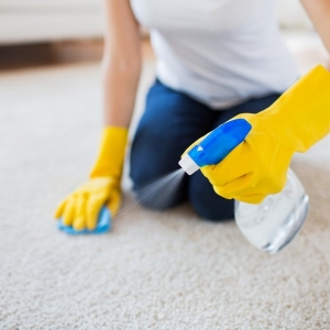 Photo of Southern Subtleties Cleaning