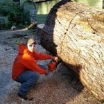 Photo of A To Z Tree Care