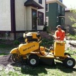 Photo of A To Z Tree Care