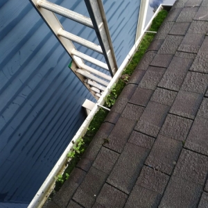 Photo of Perfect Gutter Cleaning