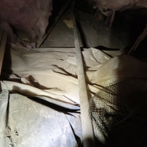 Photo of Stormi's General Contracting