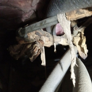 Photo of Stormi's General Contracting