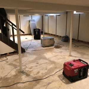 Photo of weDRY Restoration