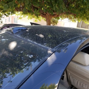 Photo of KTL Pressure Washing