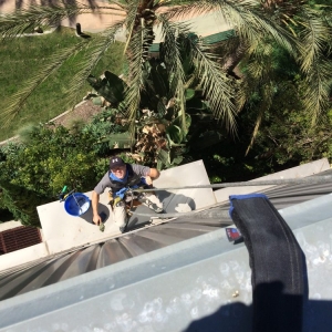 Photo of Falcon Window Washing