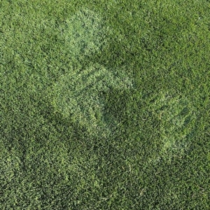 Photo of Southwest Greens