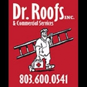 Photo of Dr Roofs
