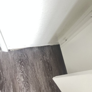 Photo of Ayalas Cleaning Service
