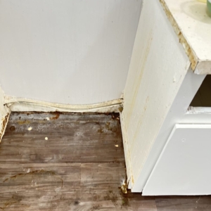 Photo of Ayalas Cleaning Service