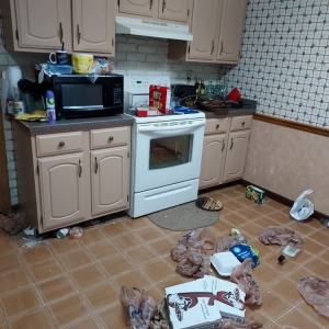 Photo of Casa Cleaners