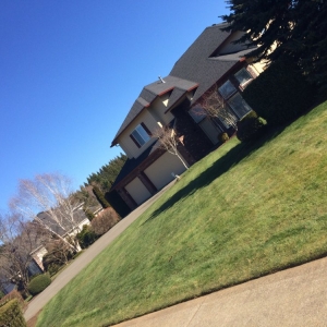 Photo of Charapo Landscaping