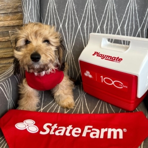 Photo of Colin Owens - State Farm Insurance Agent