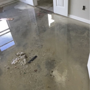 Photo of Servpro of North Fort Worth