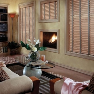 Photo of Southern Traditions Window Fashions
