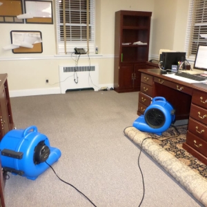 Photo of Bulldog Cleaning & Restoration