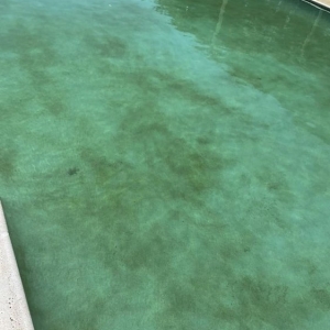 Photo of Prime Pool Service